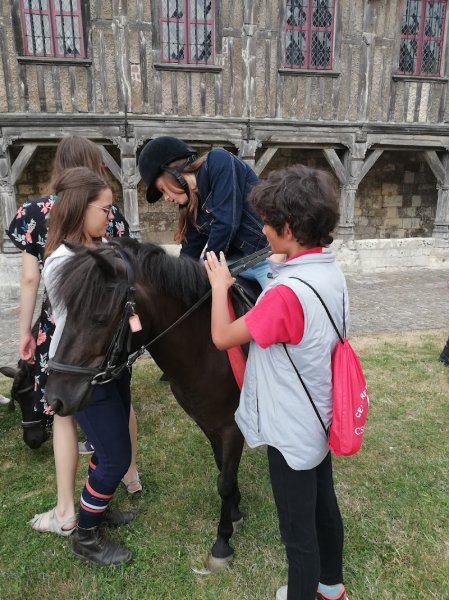 Centre équestre du Noyonnais - photo 2