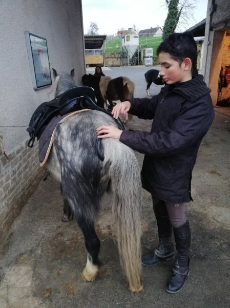 Centre équestre du Noyonnais - photo 3