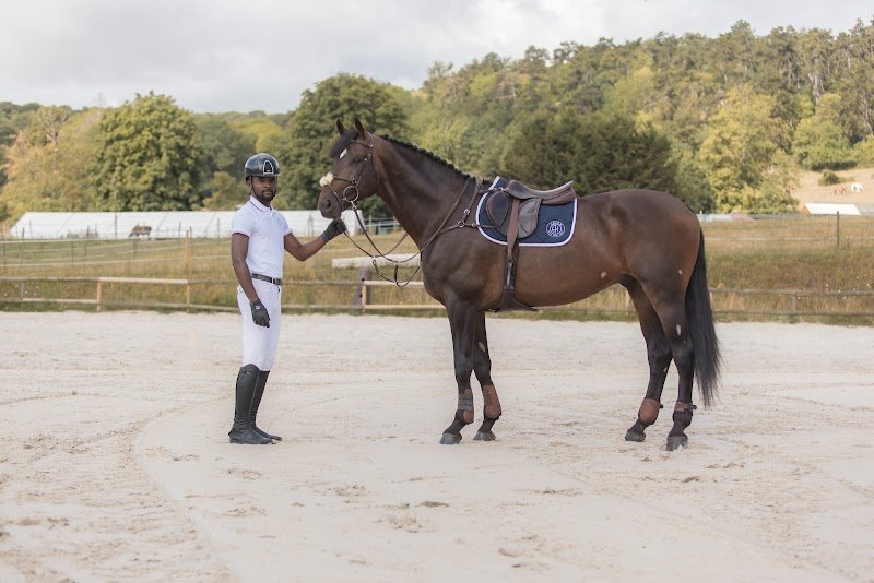 BLS Sport Horses - photo 3