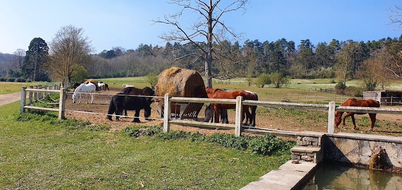 Centre Equestre de Chambly - photo 3