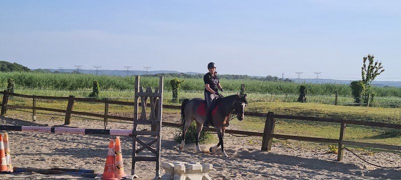 Les Écuries de Captain'Brown