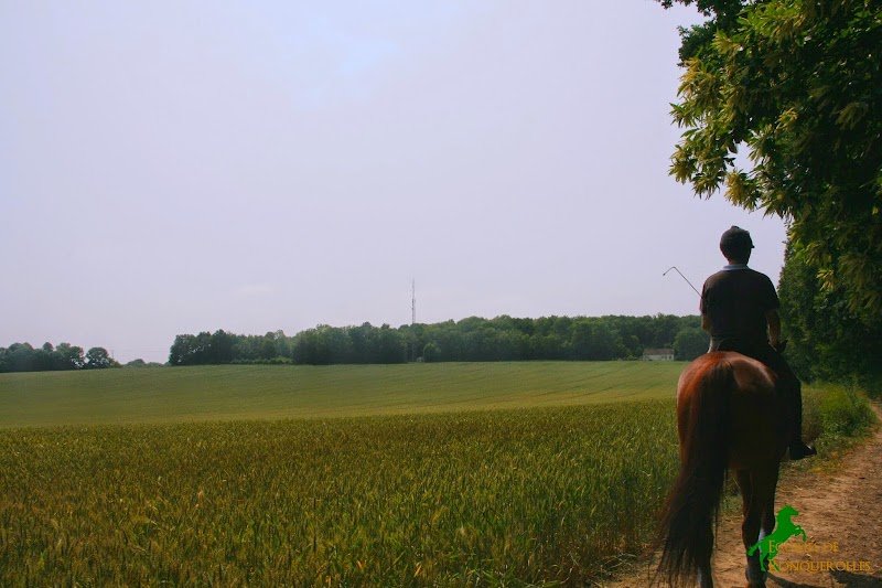 Écuries de Ronquerolles - photo 3