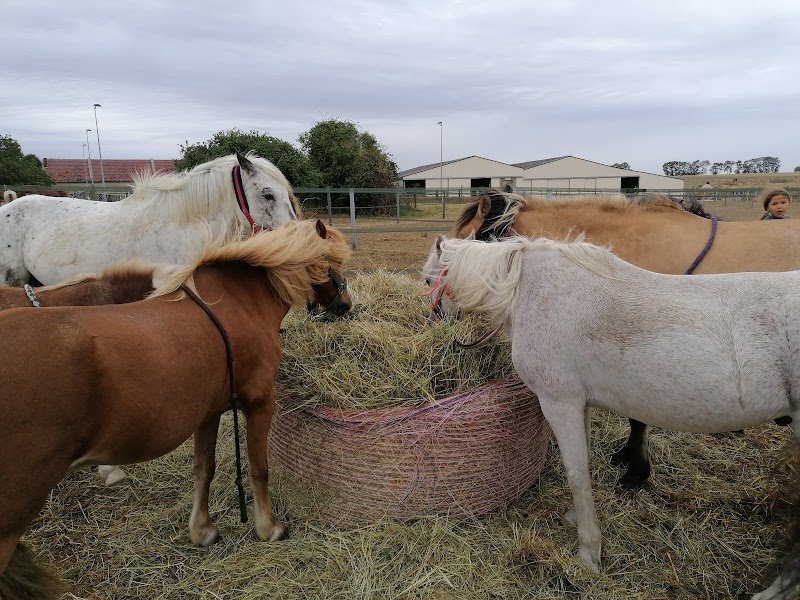 Les Ecuries du Transloy - photo 3