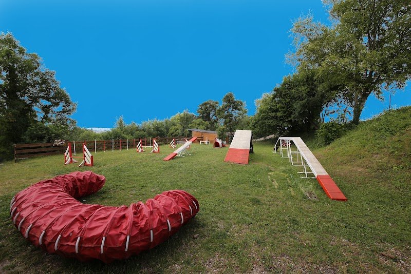 Les Ecuries du Conti Toutou par Minou - photo 2