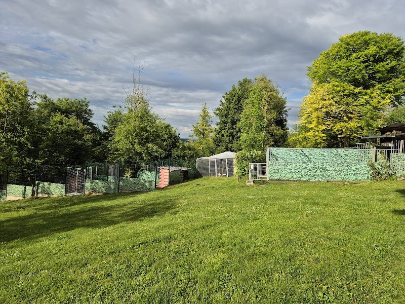 Les Ecuries du Conti Toutou par Minou - photo 3