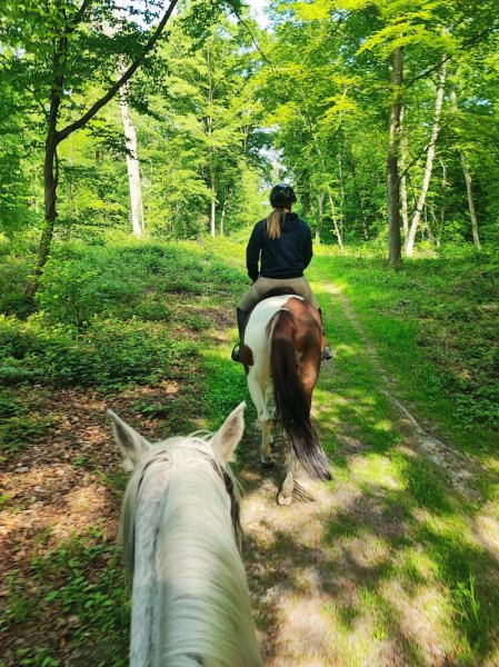 Centre Équestre du Marais - photo 2
