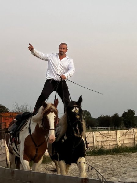 Écurie D.O.L.P - photo 2