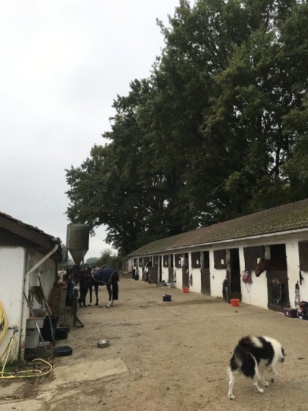 Les Écuries de Rimberlieu