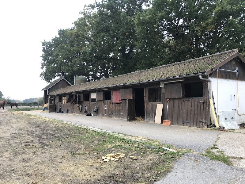 Les Écuries de Rimberlieu - photo 2