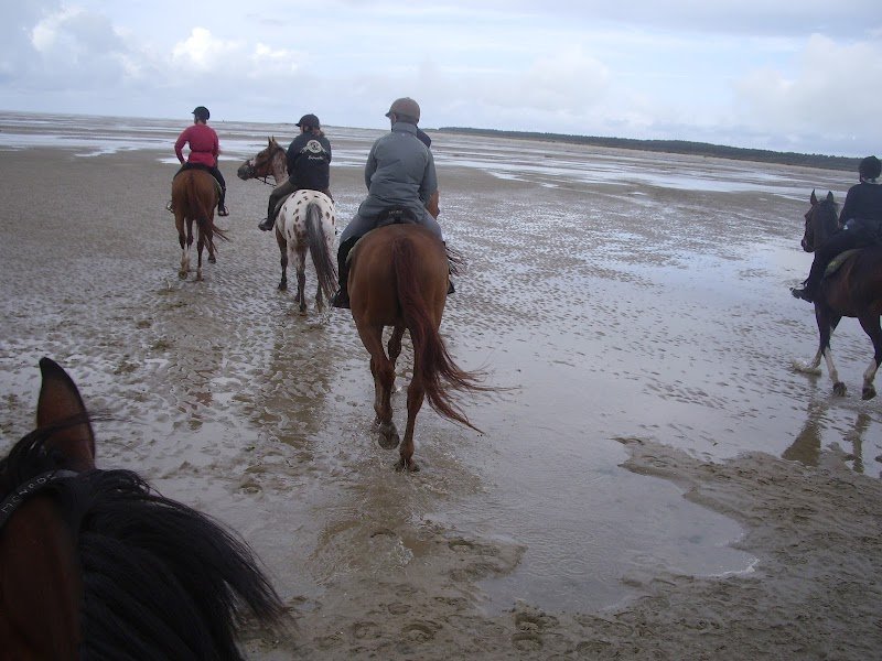 Centre Equestre du Moulin d'Airion - photo 3
