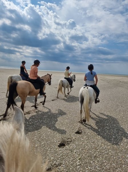 Centre équestre les chevaux de l'escale - photo 1