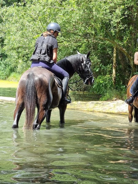 Centre équestre les chevaux de l'escale - photo 2