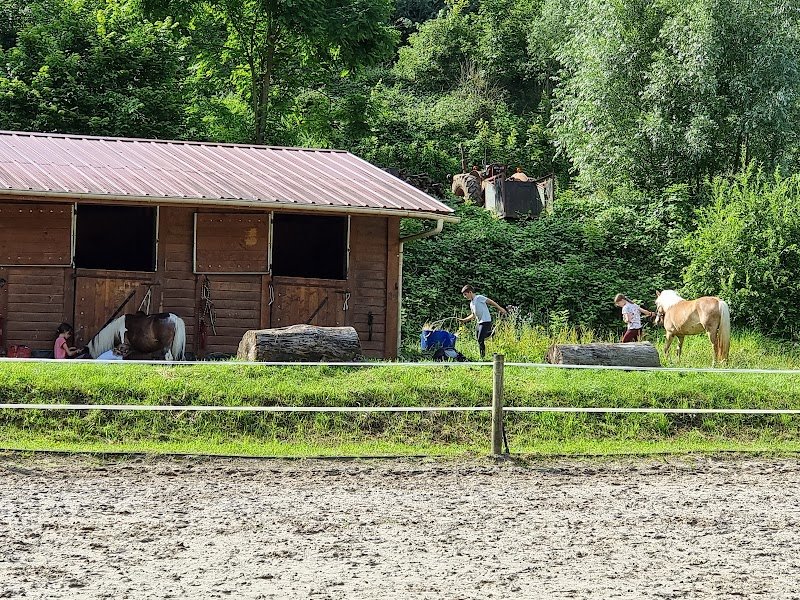 Centre équestre les chevaux de l'escale - photo 3