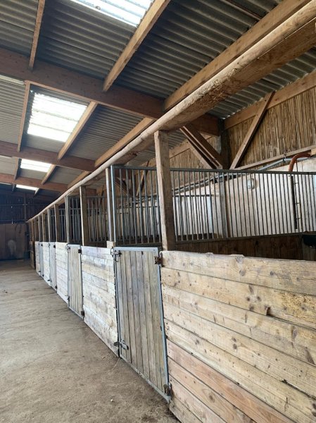 Écuries d'Agapē - photo 1