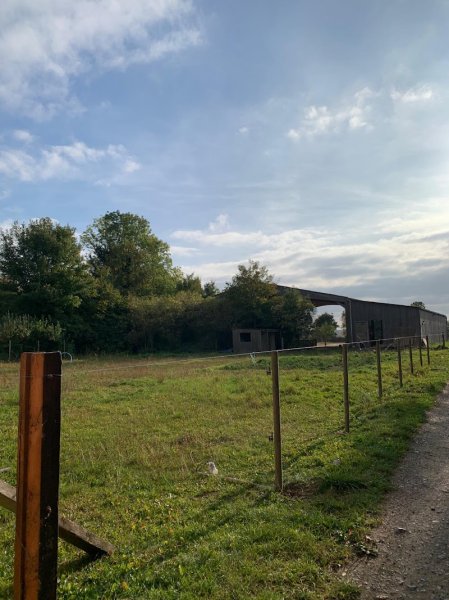 Écuries d'Agapē - photo 3