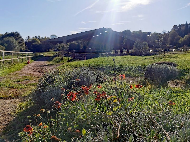 Ecuries Heinola - photo 2