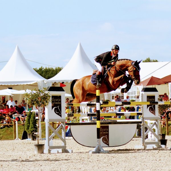 Écurie Maximilien Micropoulos - photo 3