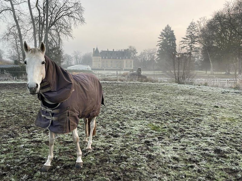 Écurie As des Pins - photo 1