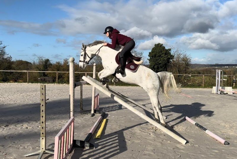 Écurie As des Pins - photo 2