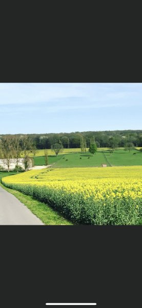 Au Pré des Chevaux - photo 3