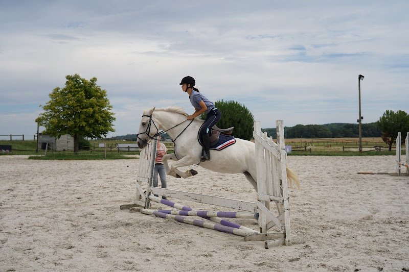 Haras des Etangs - photo 1
