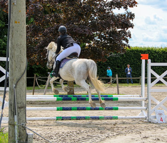 Haras des Etangs - photo 2