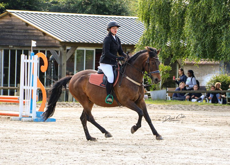 Haras des Etangs - photo 3