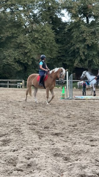 Les Chevaux D'agnetz - photo 2