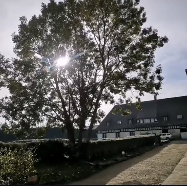 VSH Stables - photo 1