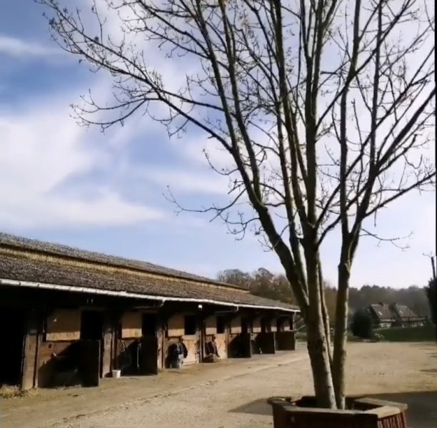 VSH Stables - photo 3