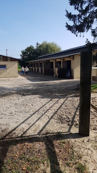 Écurie d'Albizia - photo 2