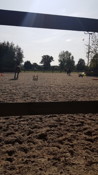 Écurie d'Albizia - photo 3