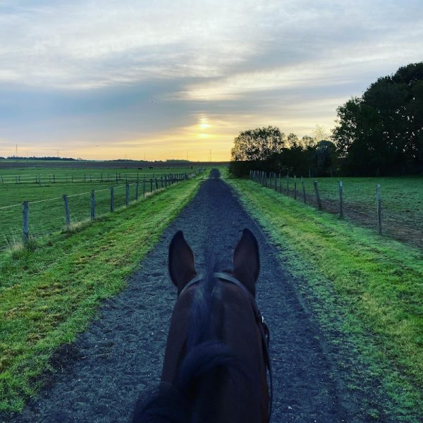 Ecurie Antoine Ducoste - EARL IRRINTZINA - photo 2