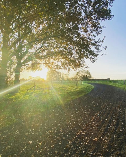 Ecurie Antoine Ducoste - EARL IRRINTZINA - photo 3