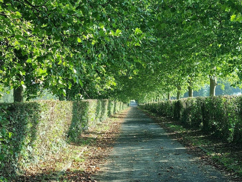 Haras du bois de Formerie