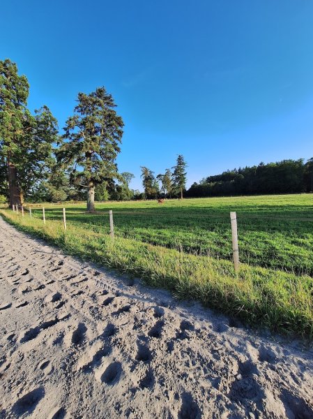 Haras du bois de Formerie - photo 3