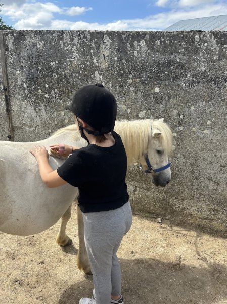 Ferme équestre de Beaufresne - photo 3