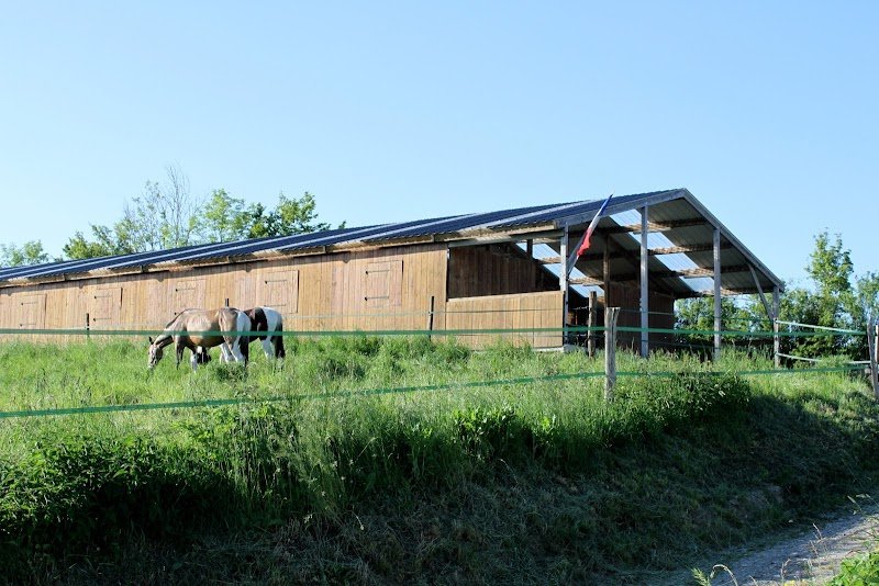 Haras d’Einalem - photo 1