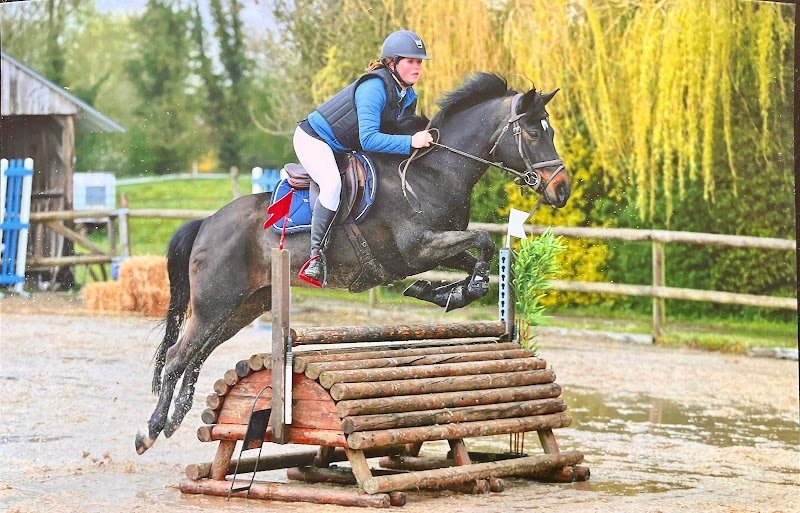 Ecurie Du Randillon - photo 1