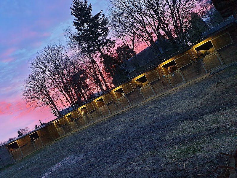 Ecuries du Haut Bois