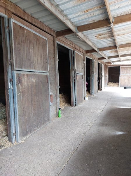 Ecuries du Haut Bois - photo 3