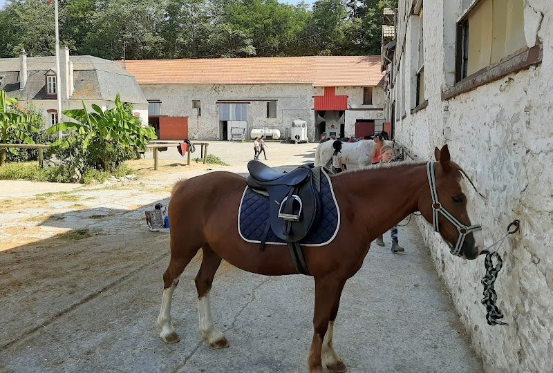 Centre Equestre Fontana - photo 3