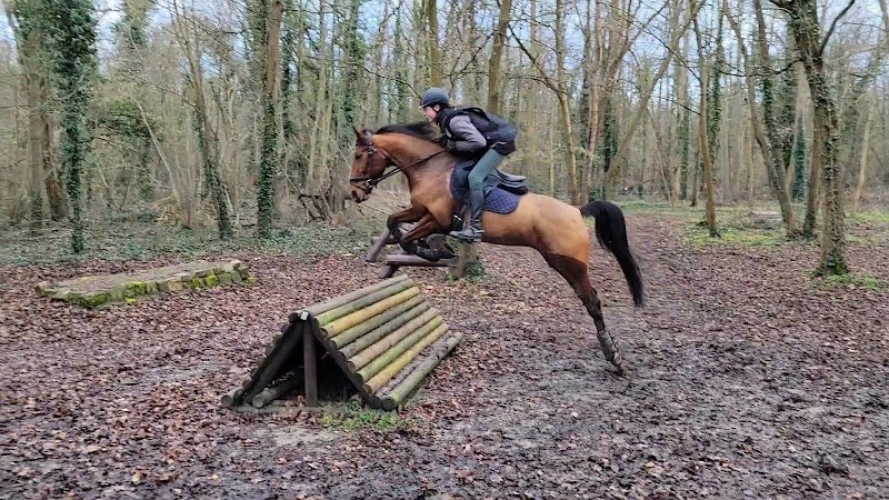 Écurie PRADET-CAFFIN - photo 3