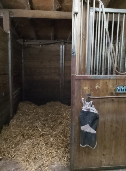 Poney Club - photo 2