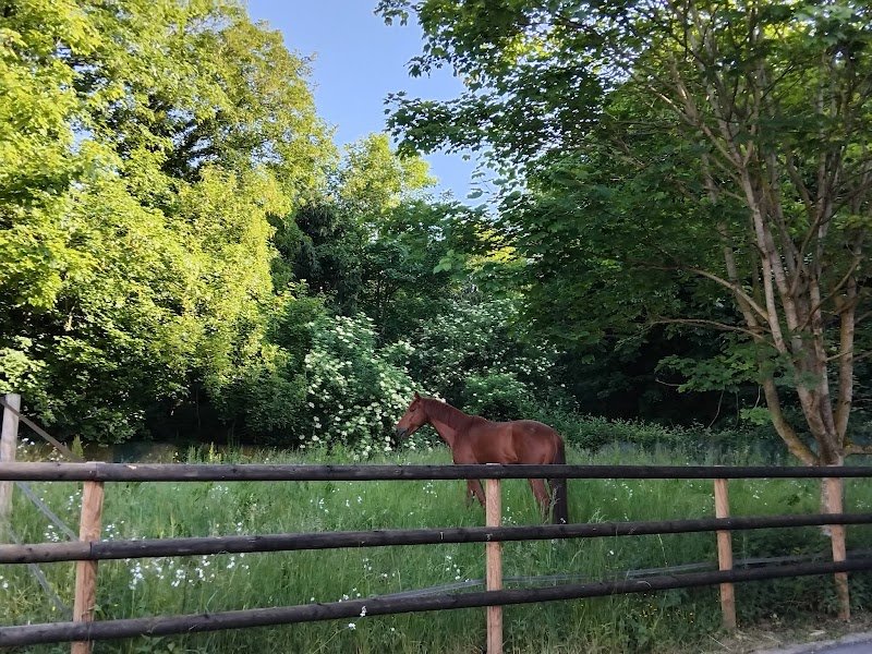 Les écuries du Château de Marivaux - photo 3