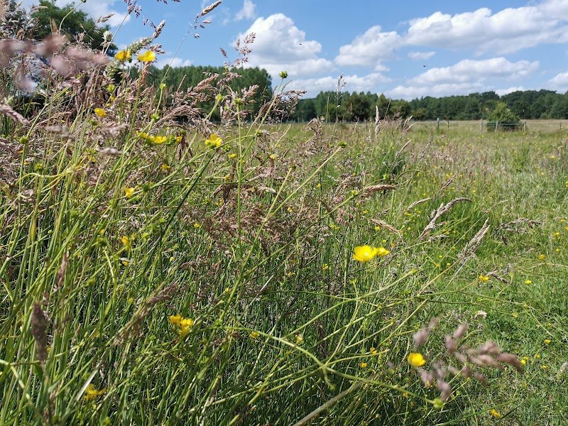 Poney club d'Ons en Bray