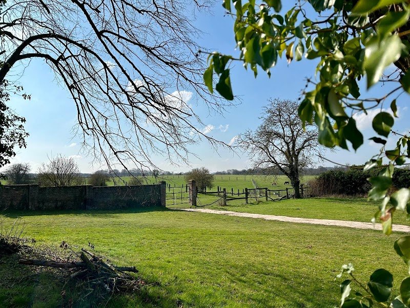 Ecurie D4C - photo 1