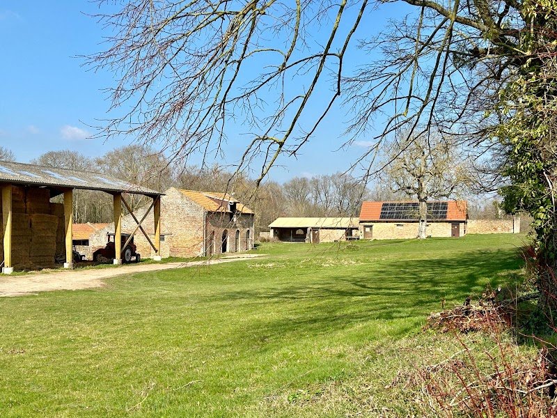 Ecurie D4C - photo 3