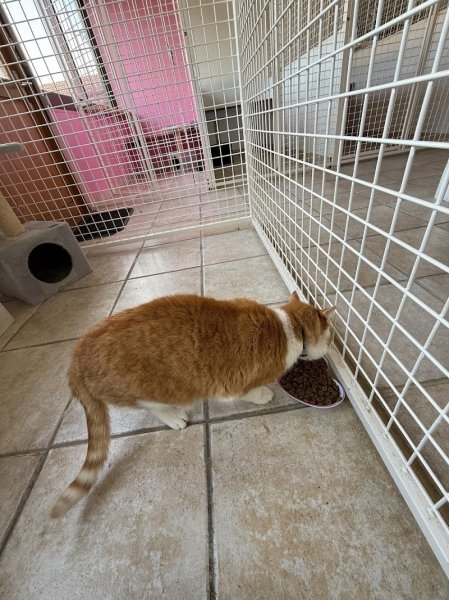 Pension du Mont Liévain