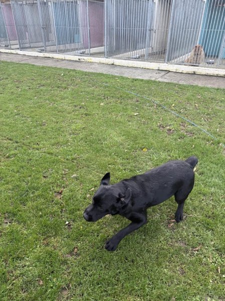 Pension du Mont Liévain - photo 2